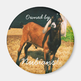 マグネット – ヌビアン所有！