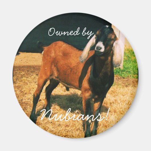 マグネット – ヌビアン所有! (正面)