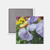 マグネット：パンジー マグネット (正面/裏面)