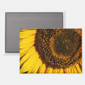 マグネット - ヒマワリのクローズアップ (正面/裏面)
