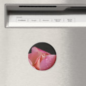 マグネット – ピンクローズバッド (インサイチュ (食洗機))