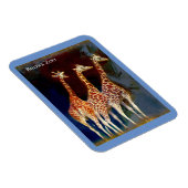 マグネット – ブロンクス動物園のキリン (右側)