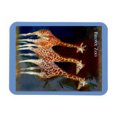 マグネット – ブロンクス動物園のキリン (横)