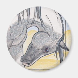 マグネット「ボルタイビント・クムリク」 マグネット