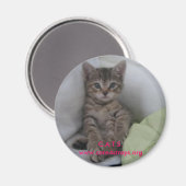 マグネット： マグネット (正面/裏面)