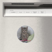 マグネット： マグネット (インサイチュ (食洗機))