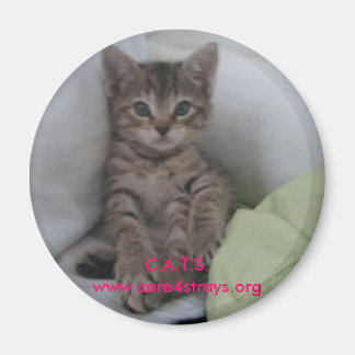 マグネット： マグネット