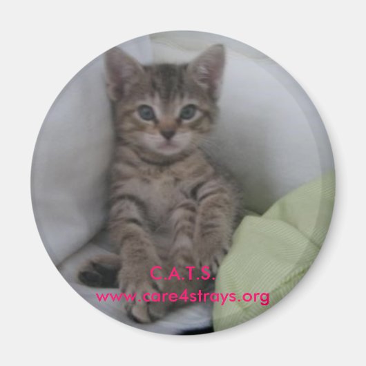 マグネット： マグネット (正面)