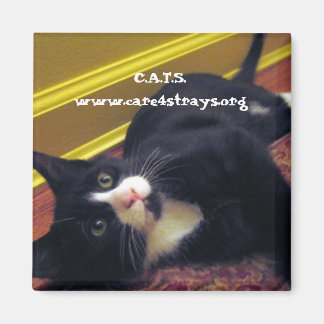 マグネット： マグネット