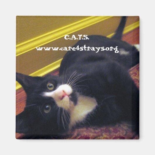 マグネット： マグネット (正面)