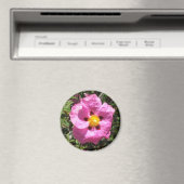 マグネット – メキシカンロックバラ (インサイチュ (食洗機))