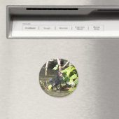 マグネット:モアヘン・シック マグネット (インサイチュ (食洗機))