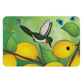 マグネット – レモネード (横)