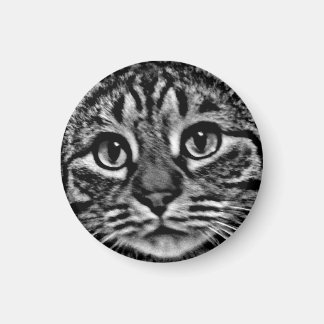 マグネット – 一般的なTso、黒、白