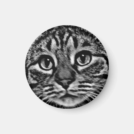 マグネット – 一般的なTso、黒、白 (正面)