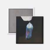 マグネット – （昆虫）オオカバマダラ、モナーククリサリス(2022) (正面/裏面)