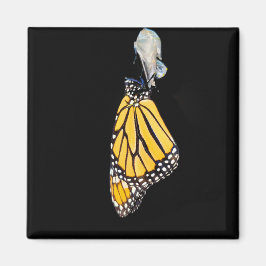 マグネット – （昆虫）オオカバマダラ、モナーク蝶(2022)