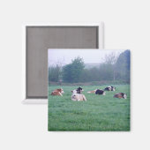 マグネット – 牛 – カラー (正面/裏面)