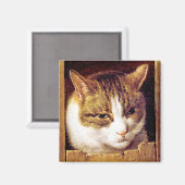 マグネット:「猫が垣根から覗き込む」 マグネット (正面/裏面)