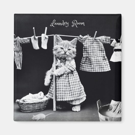 マグネット、猫ぶら下がったの洗濯 マグネット (正面)