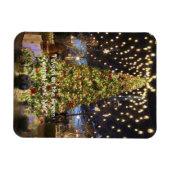 マグネット – 緑の酒場、セントラルパーク (横)