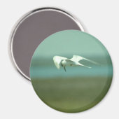 マグネット – 航行中のTern (正面/裏面)