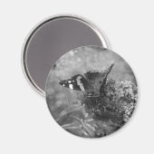 マグネット – 蝶の提督 (正面/裏面)