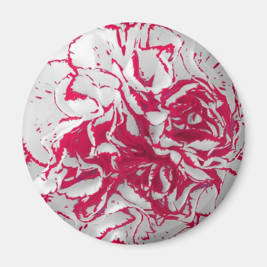 マグネット – 赤と白のカーネーション (正面)