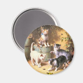 マグネット：「遊カブトムシで子猫」 マグネット (正面/裏面)