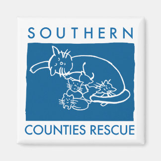 マグネット（青いロゴ） マグネット