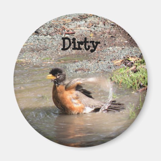 マグネット、食洗機、ロビンが入浴、汚れ マグネット (正面)