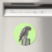 マグネット – 《鳥》ハヤブサ (インサイチュ (食洗機))