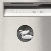 マグネット – Coscorba Swan Pair (インサイチュ (食洗機))