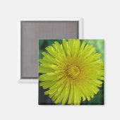 マグネット – Dandelion (正面/裏面)