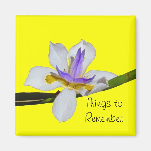 マグネット – Fortnight Lilly (正面)