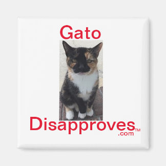 マグネット、Gatoが不承認 マグネット