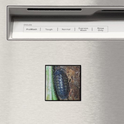 マグネット – Pill Bug （写真） (インサイチュ (食洗機))