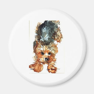 マグネット – Yorkshire Terrier