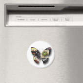 マグネットmp 14 マグネット (インサイチュ (食洗機))