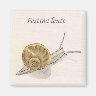 マグネテ「キオシオラ」 マグネット