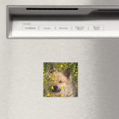 マグネート マグネット (インサイチュ (食洗機))