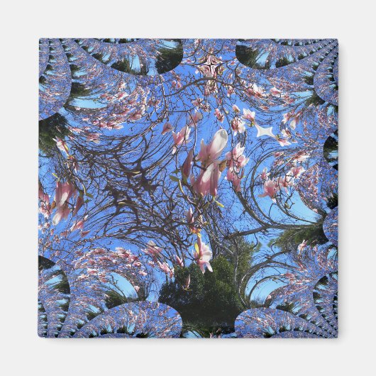 マグノリアおもしろい........ マグネット (正面)