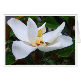 マグノリアとミツバチのカード