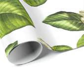 マグノリアによっては植物の包装紙が開花します ラッピングペーパー (ロールコーナー)