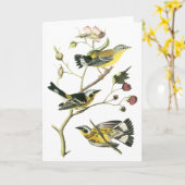 マグノリアのアメリカムシクイ、ジョンAudubon カード (黄色い花)