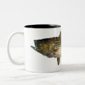 マグノリアのシマスズキ ツートーンマグカップ (左)