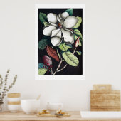 マグノリアのポスター ポスター (キッチン)