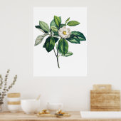 マグノリアのポスター ポスター (キッチン)