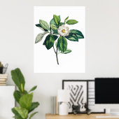 マグノリアのポスター ポスター (ホームオフィス)