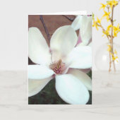 マグノリアの挨拶状 カード (黄色い花)